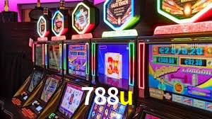 Programa VIP 788u